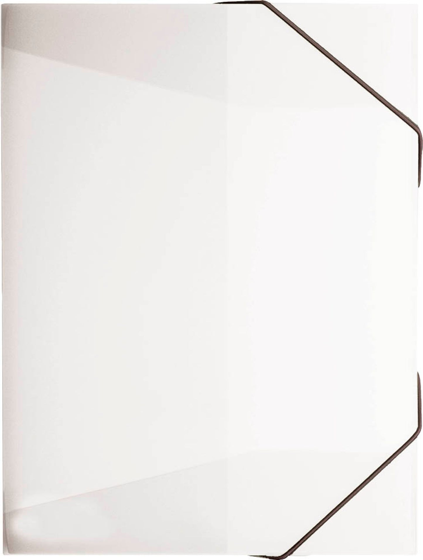 BRUNNEN Sammelmappe FACT!pp DIN A4,