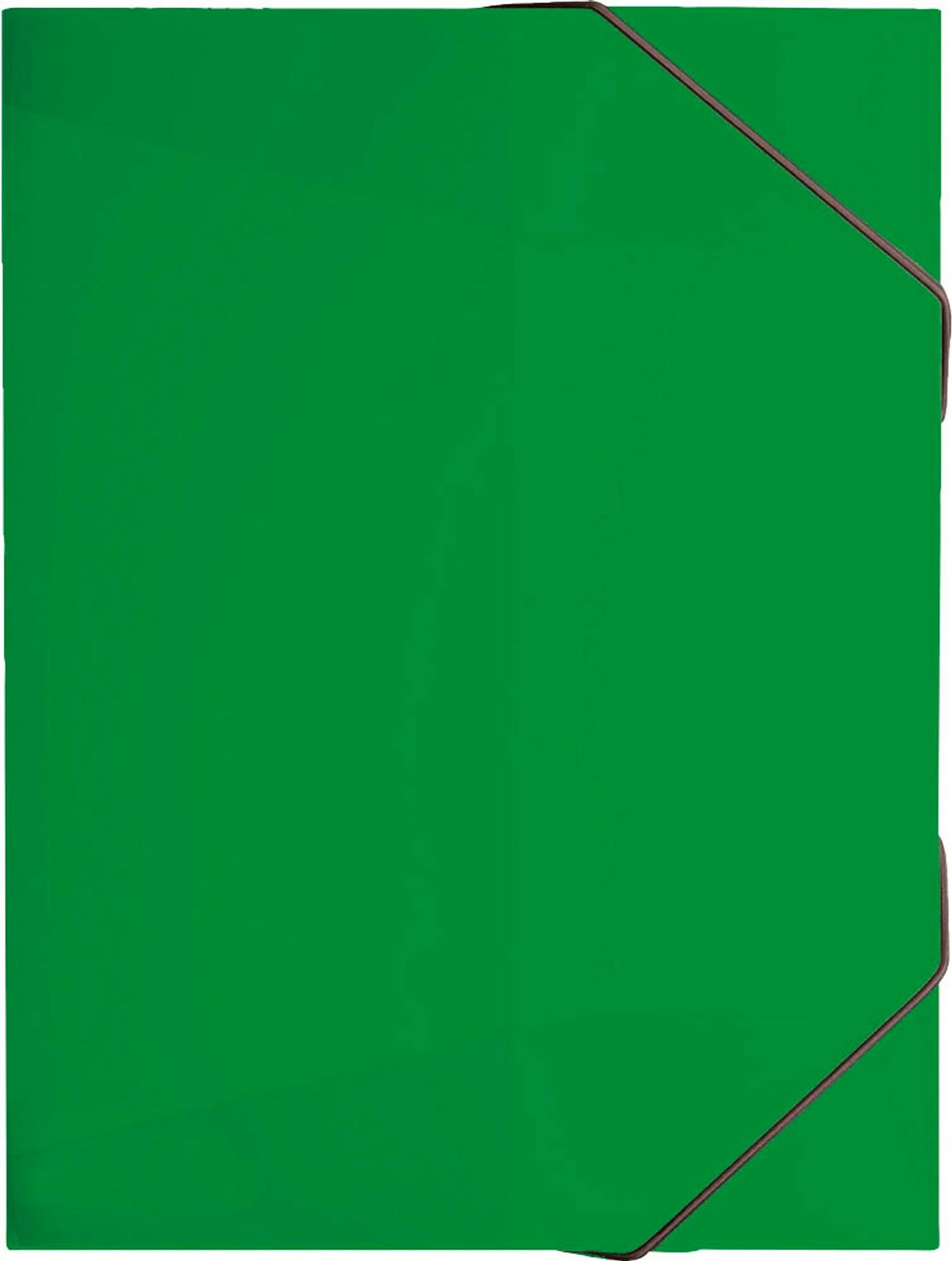 BRUNNEN Sammelmappe FACT!pp DIN A4,
