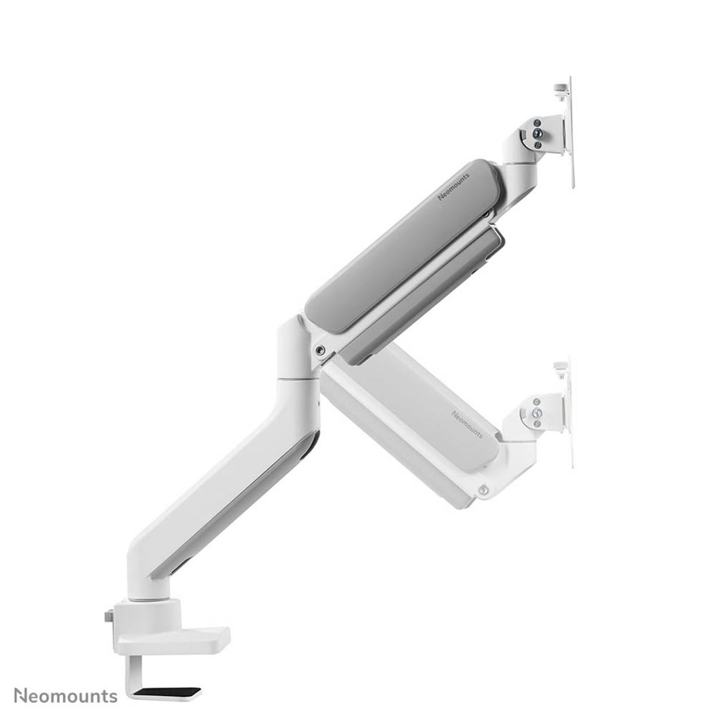 Neomounts Monitor-Halterung weiß für 1 Monitor, Tischklemme, Tischbohrung | DS70-450WH1