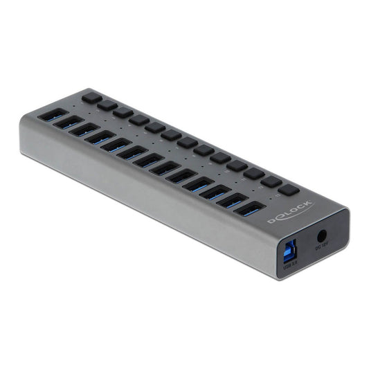DeLOCK USB-Hub SuperSpeed 13-fach grau | 63738