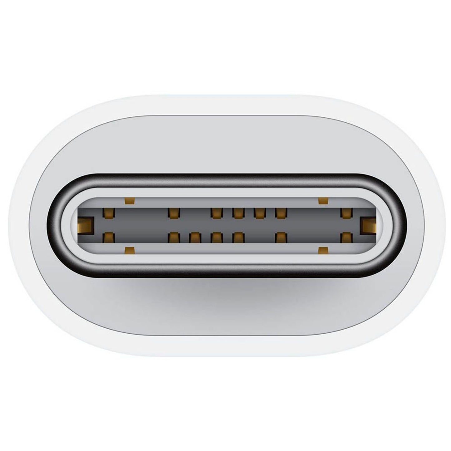 Apple USB C/Lightning Adapter | MUQX3ZM/A