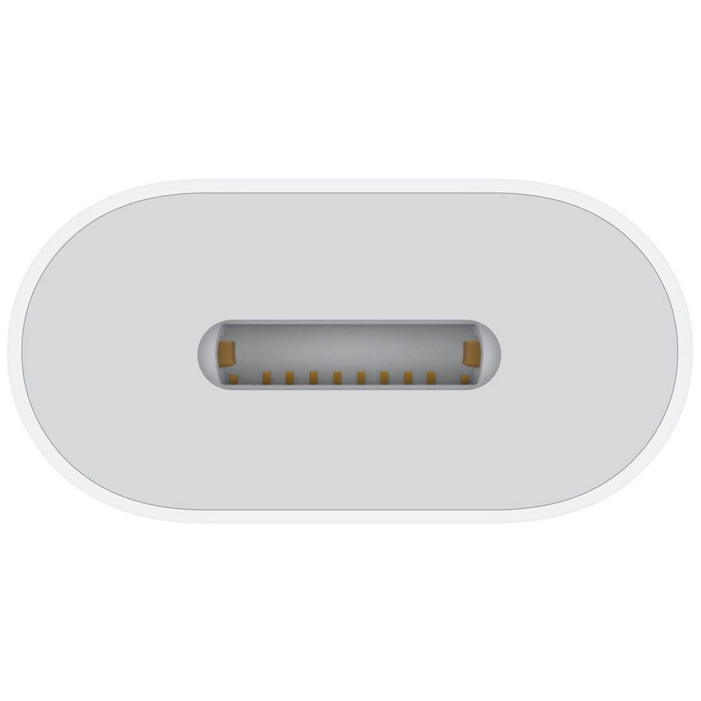 Apple USB C/Lightning Adapter | MUQX3ZM/A