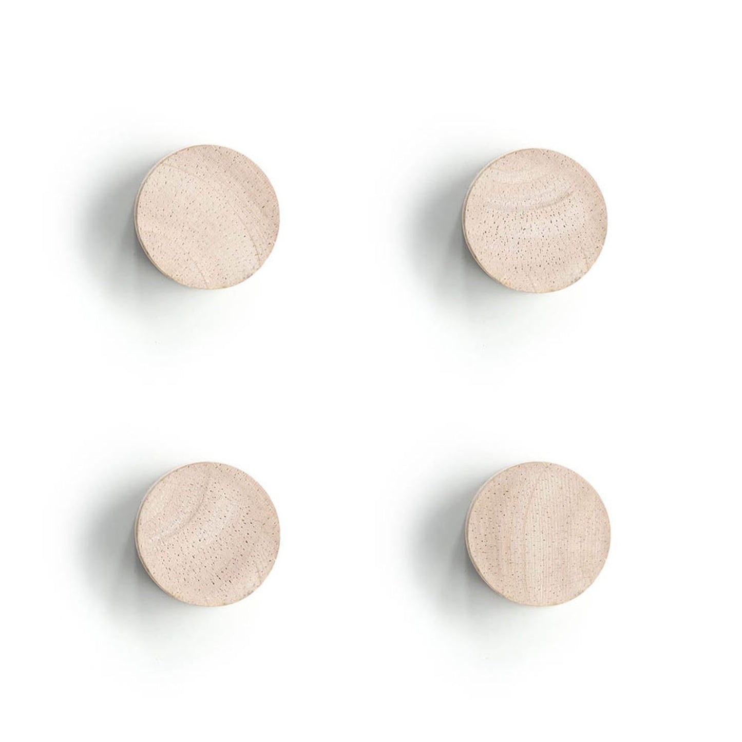 Zeller Wood Magnete braun, Holz Ø 2,2 x 1,5 cm | 11244 | 1 Pack = 4 St.