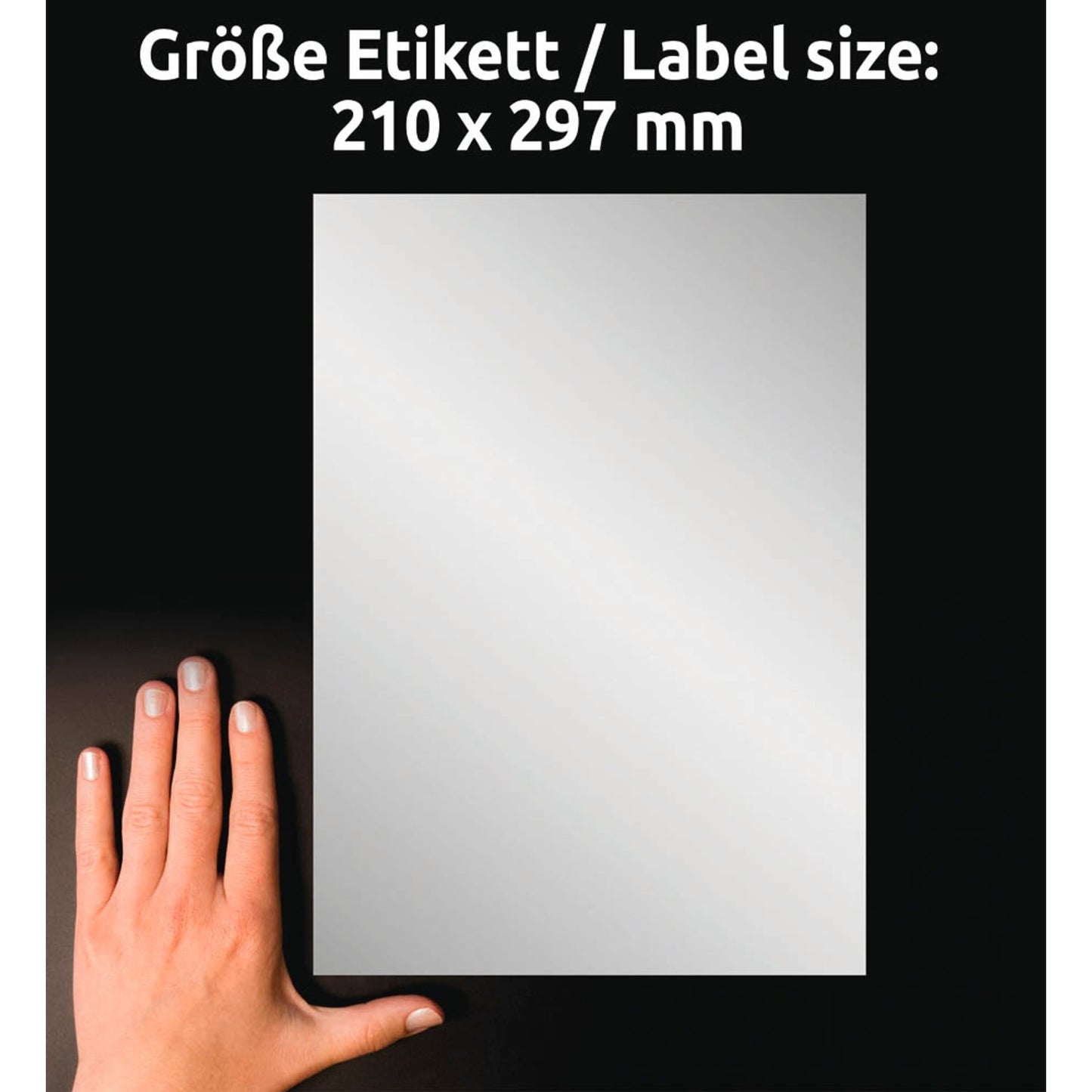 AVERY Zweckform Typenschildetiketten silber 210,0 x 297,0 mm | L6013-8 | 1 Pack = 8 Blatt