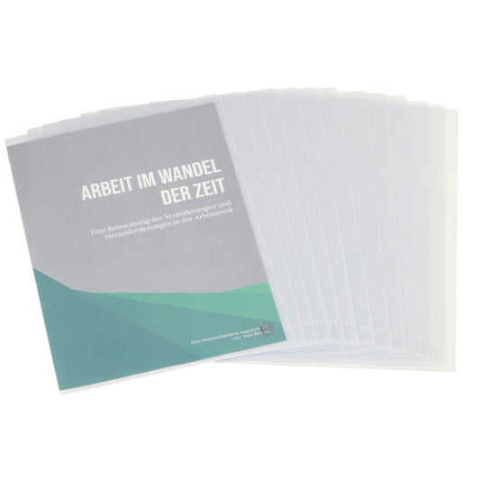 OXFORD Sichthüllen DIN A4 transparent glatt 0,14 mm | 100461003 | 1 Pack = 100 St.