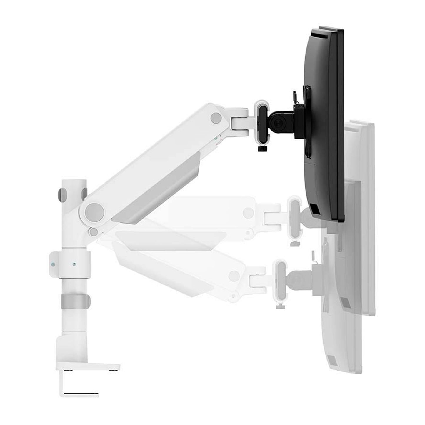 Neomounts Monitor-Halterung weiß für 2 Monitore, Tischklemme, Tischbohrung | DS65S-950WH2