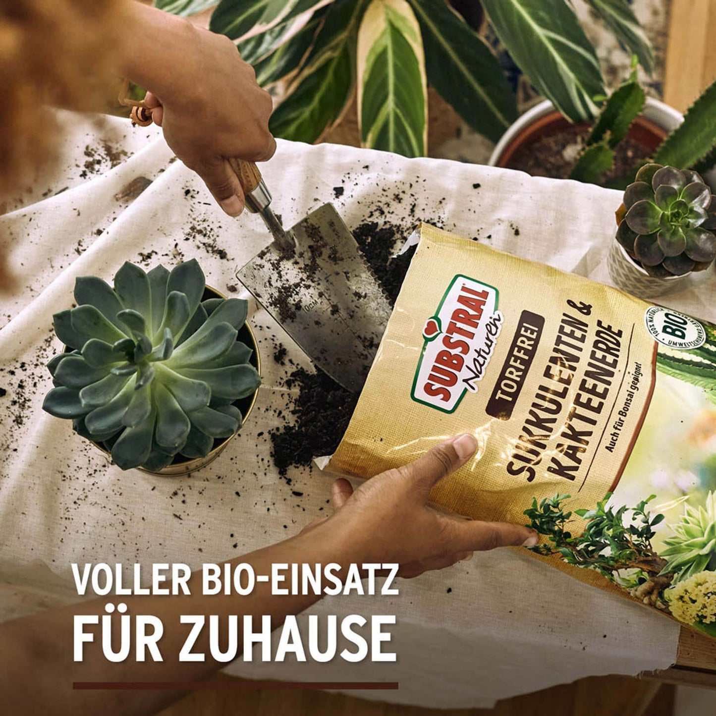 SUBSTRAL® Naturen® Kakteenerde 5,0 l | 19560