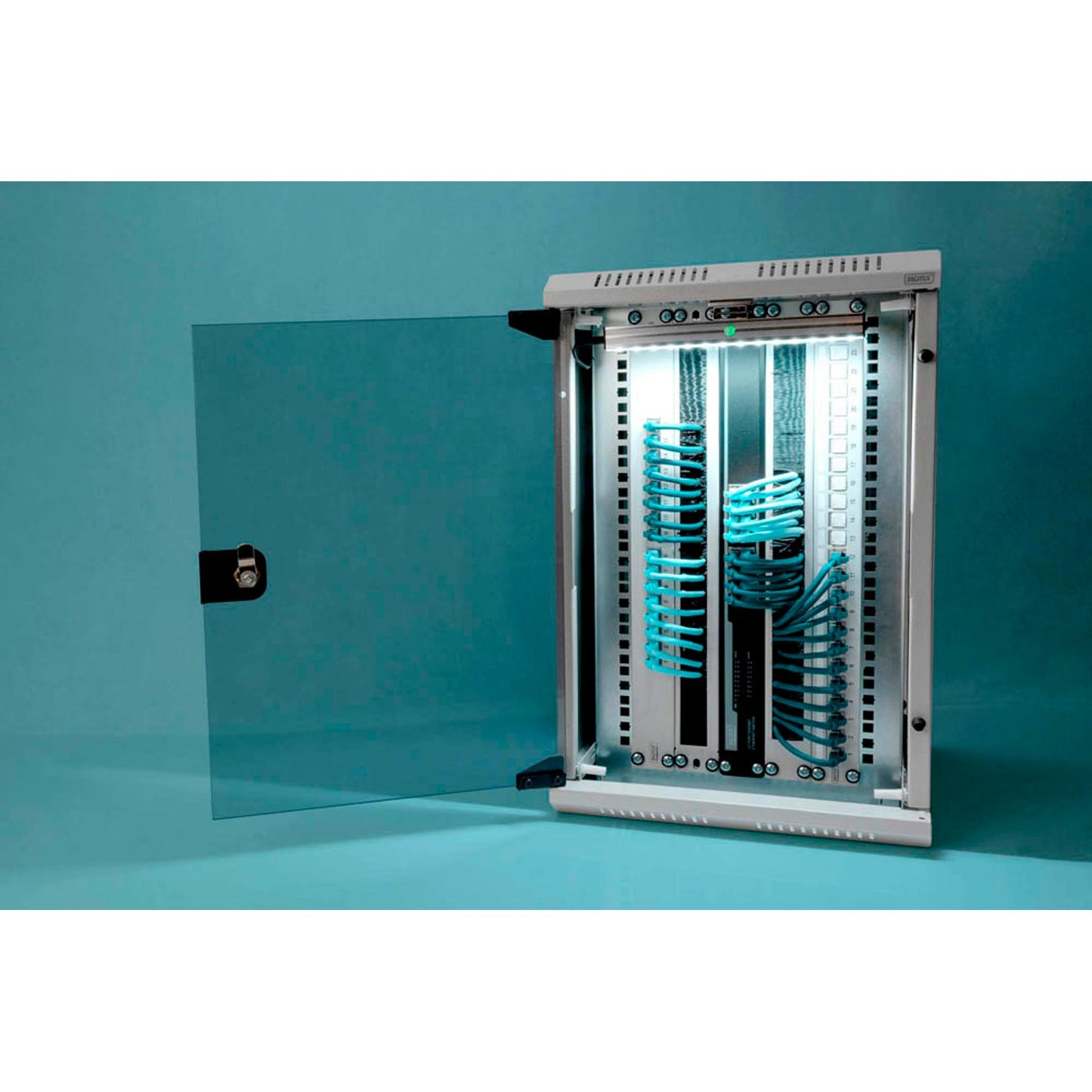 DIGITUS Netzwerkschrank | DN-1019