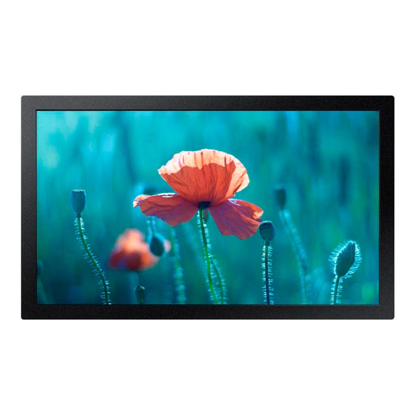 SAMSUNG QB13R-T LED-Touch-Display 33,7 cm (13,27 Zoll) | LH13QBRTBGCXEN