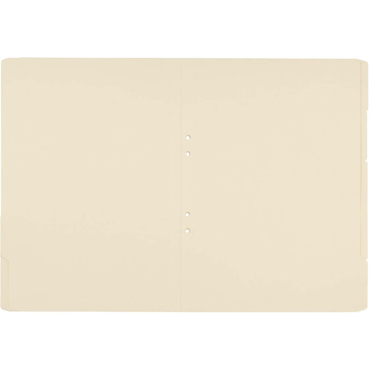 ELBA Einstellmappen DIN A4 chamois | 100091736 | 1 Pack = 100 St.