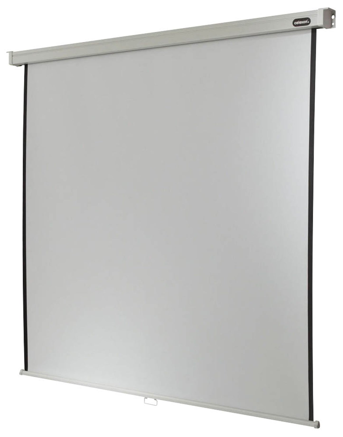 celexon Rolloleinwand Professional 1:1,