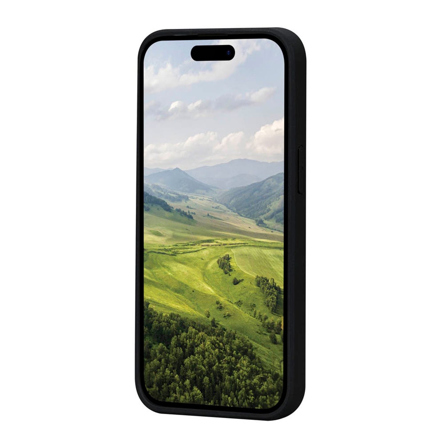 dbramante1928 Greenland Handy-Cover für Apple iPhone 15 Pro Max schwarz | GR67NIBL1871
