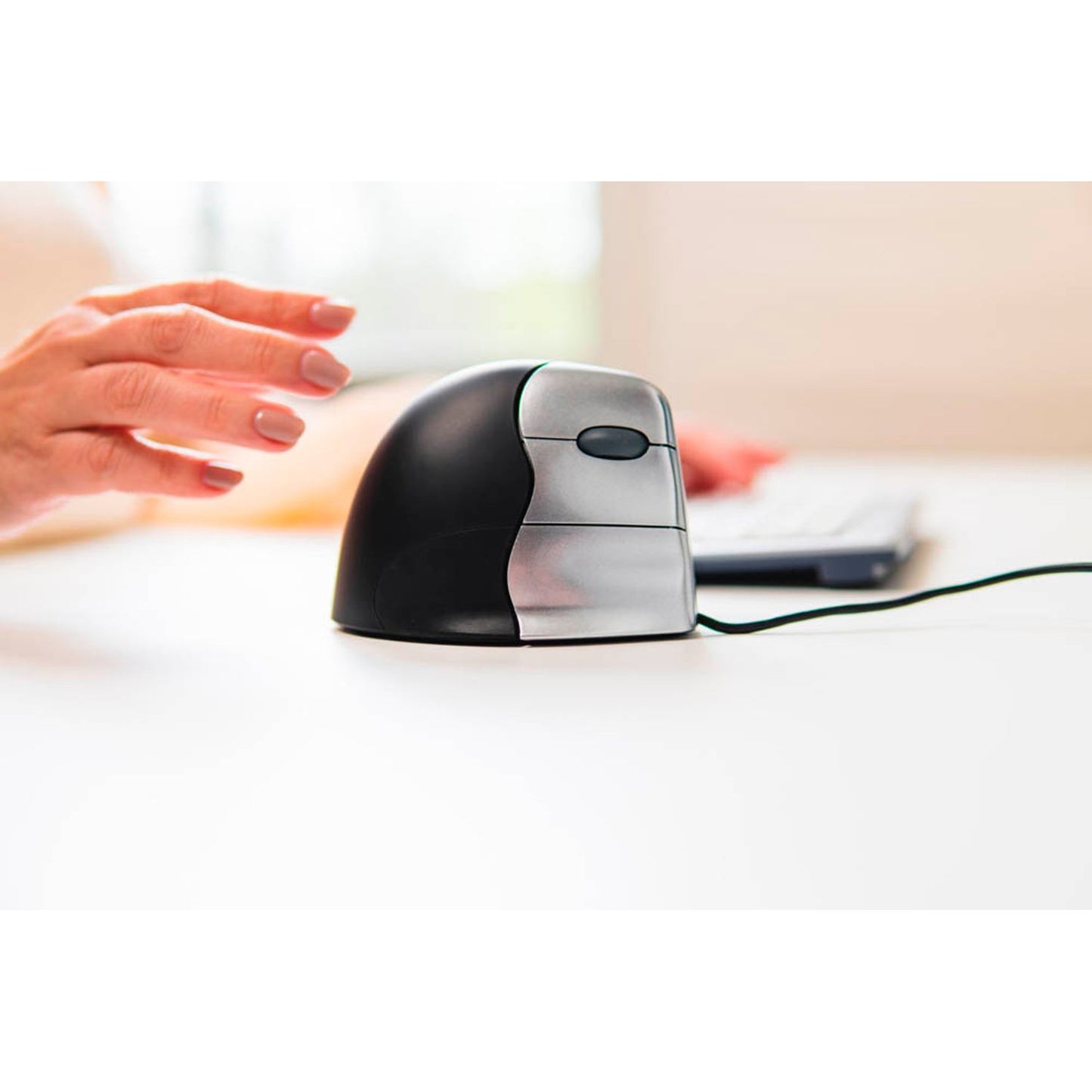 BAKKER ELKHUIZEN Maus ergonomisch kabelgebunden schwarz, silber | BNEEVR