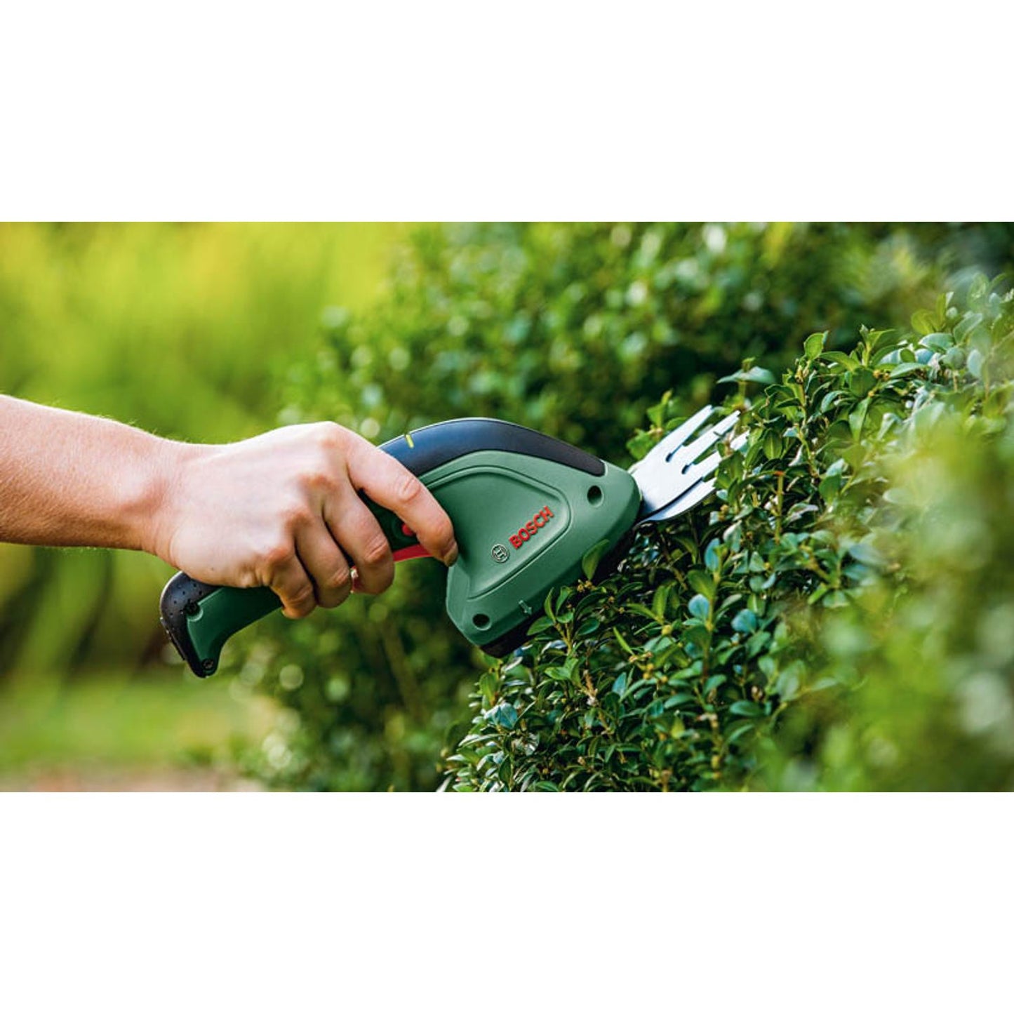 BOSCH Home & Garden Akku-Heckenschere 3,6 V, mit 1 Akku | 600833303