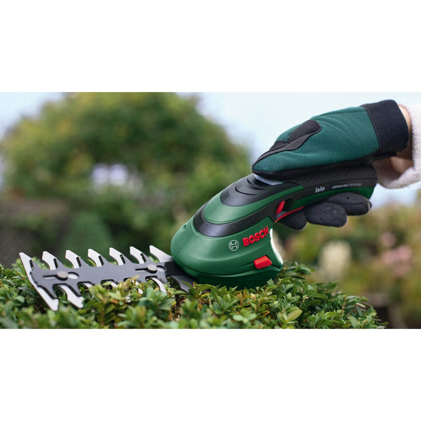 BOSCH Home & Garden Isio Akku-Heckenschere 3,6 V, mit 1 Akku | 600833108