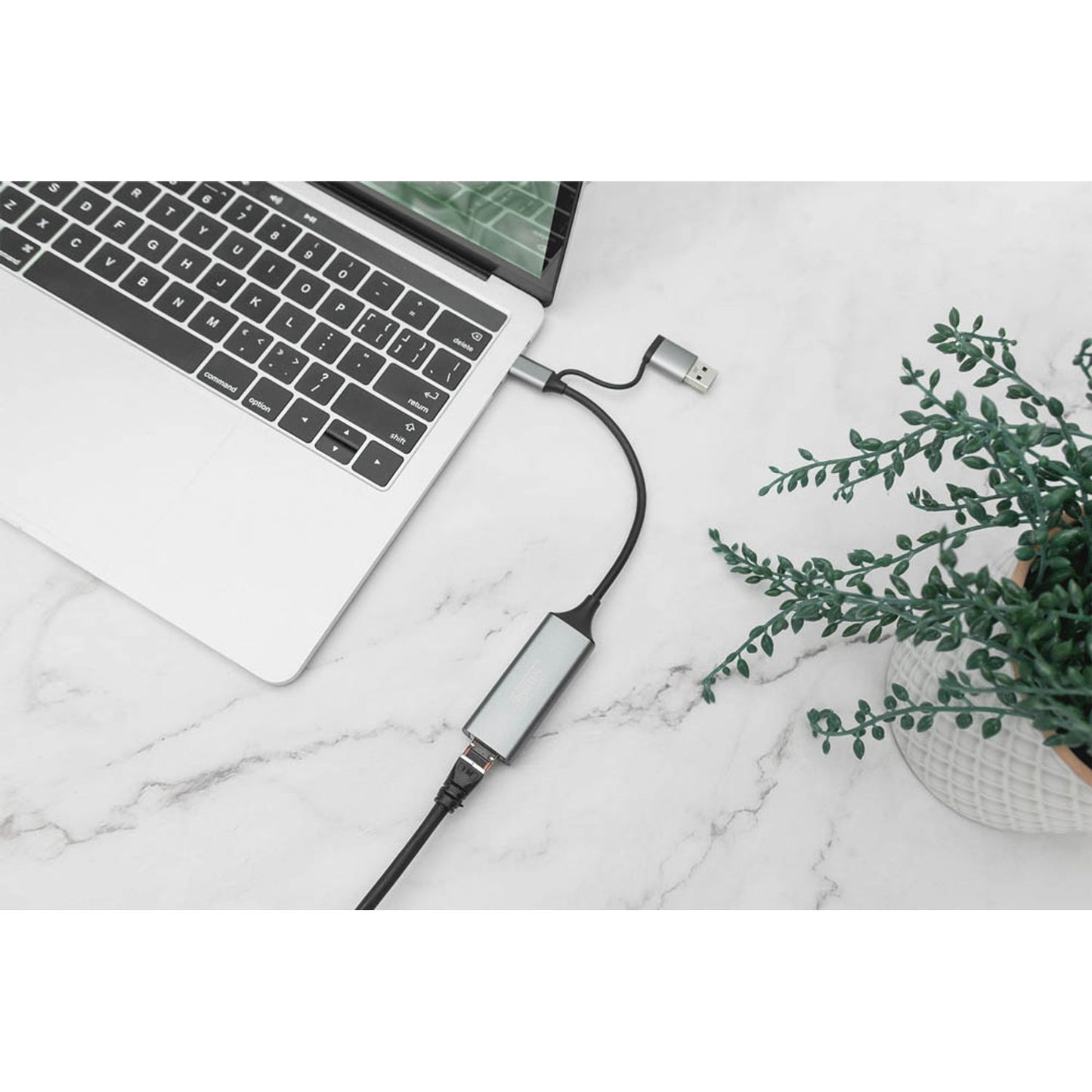 DIGITUS DisplayPort Adapter | DN-3028