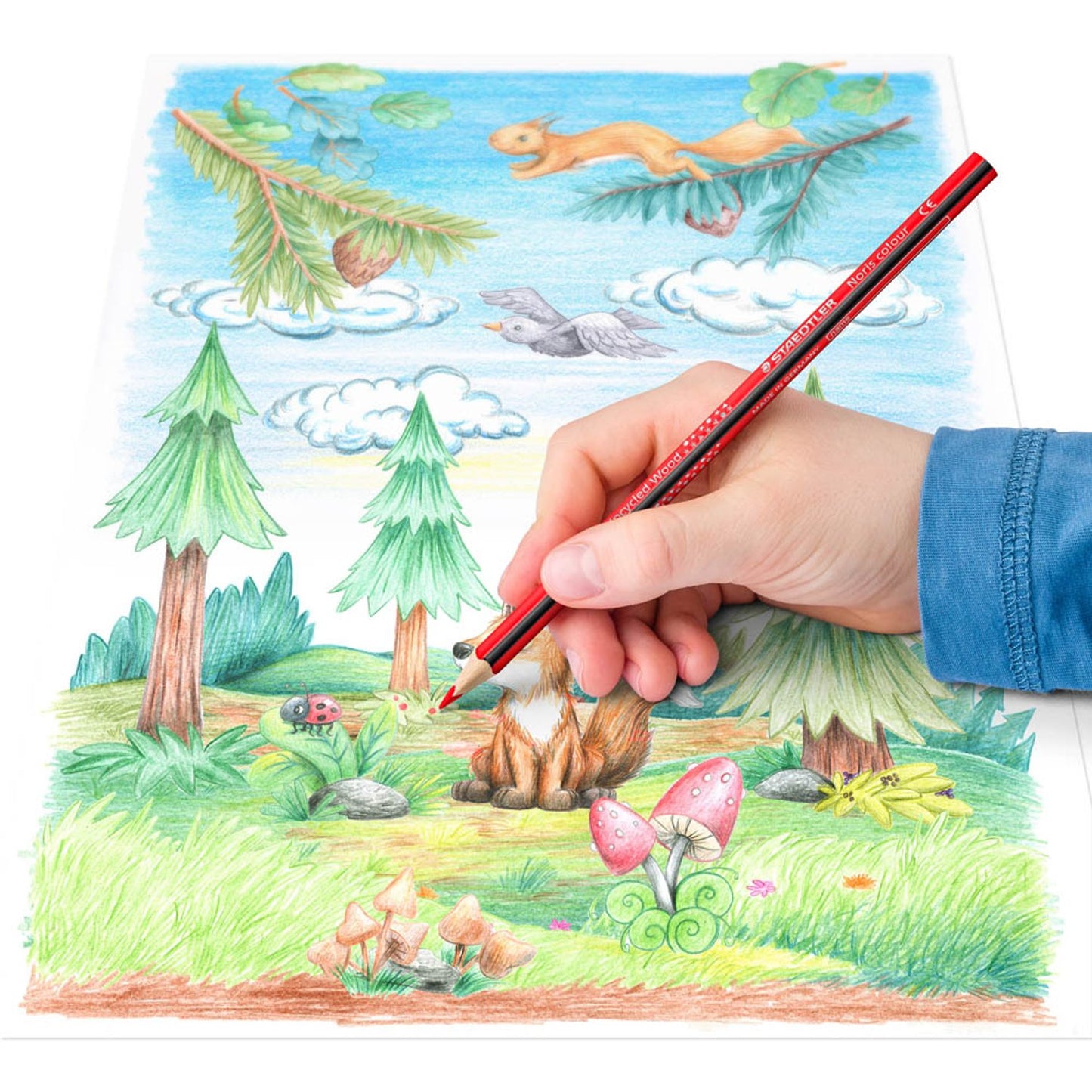 STAEDTLER Noris® colour 187 Buntstifte farbsortiert | 187 T144 | 1 Pack = 144 St.