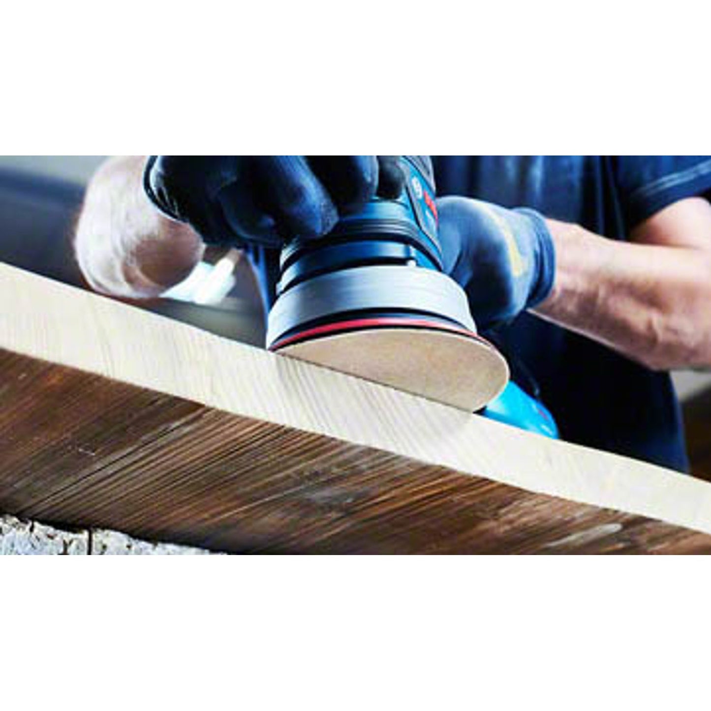 BOSCH C430 Expert for Wood and Paint Schleifblätter 40 | 2608605640 | 1 Pack = 5 St.