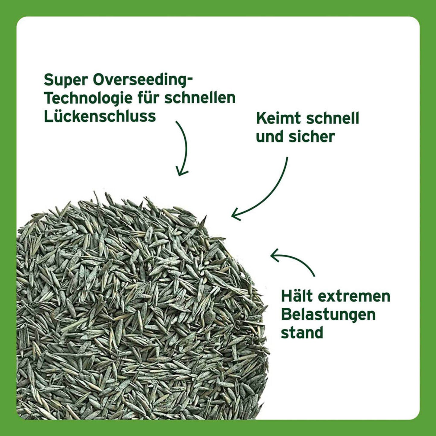 SUBSTRAL® Sport & Spiel Rasensamen 2,0 kg | 87971