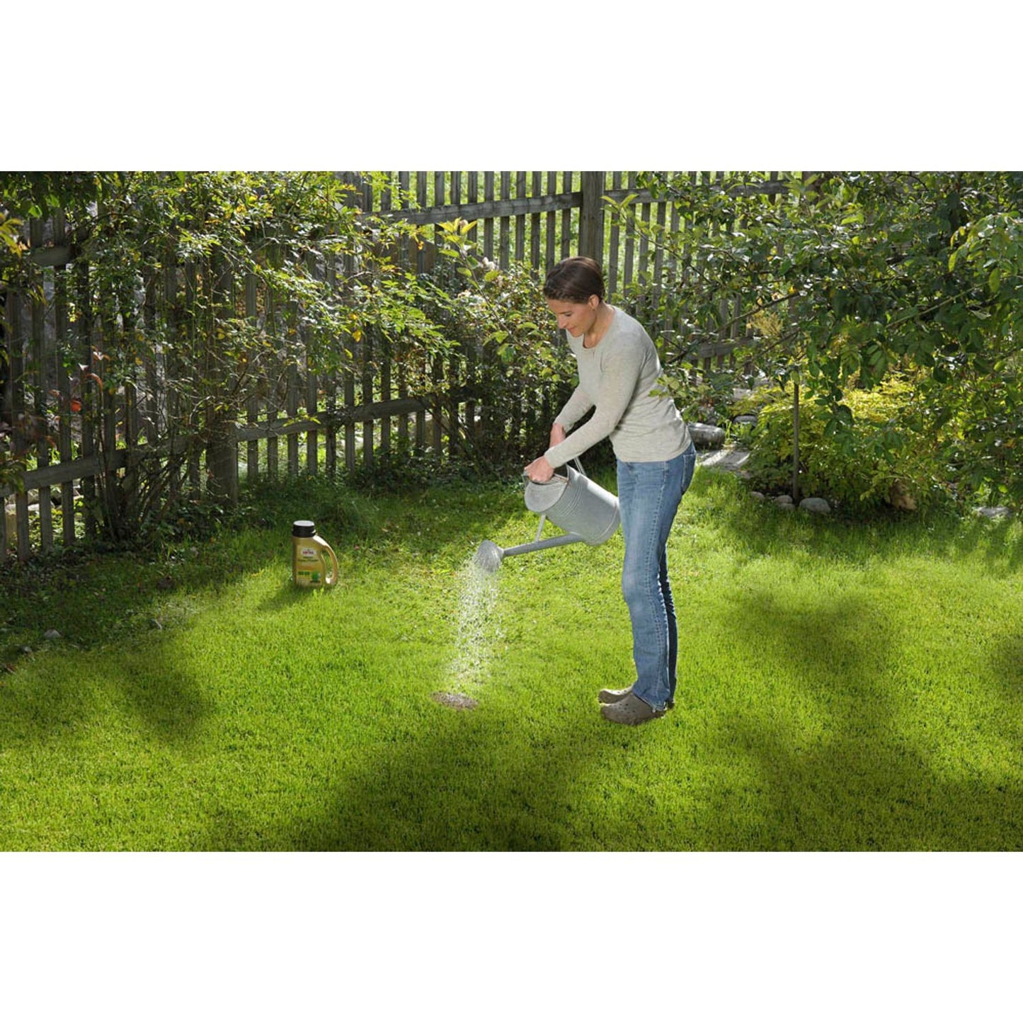 SUBSTRAL® Magisches Rasenpflaster Rasensamen 1,0 kg | 87641