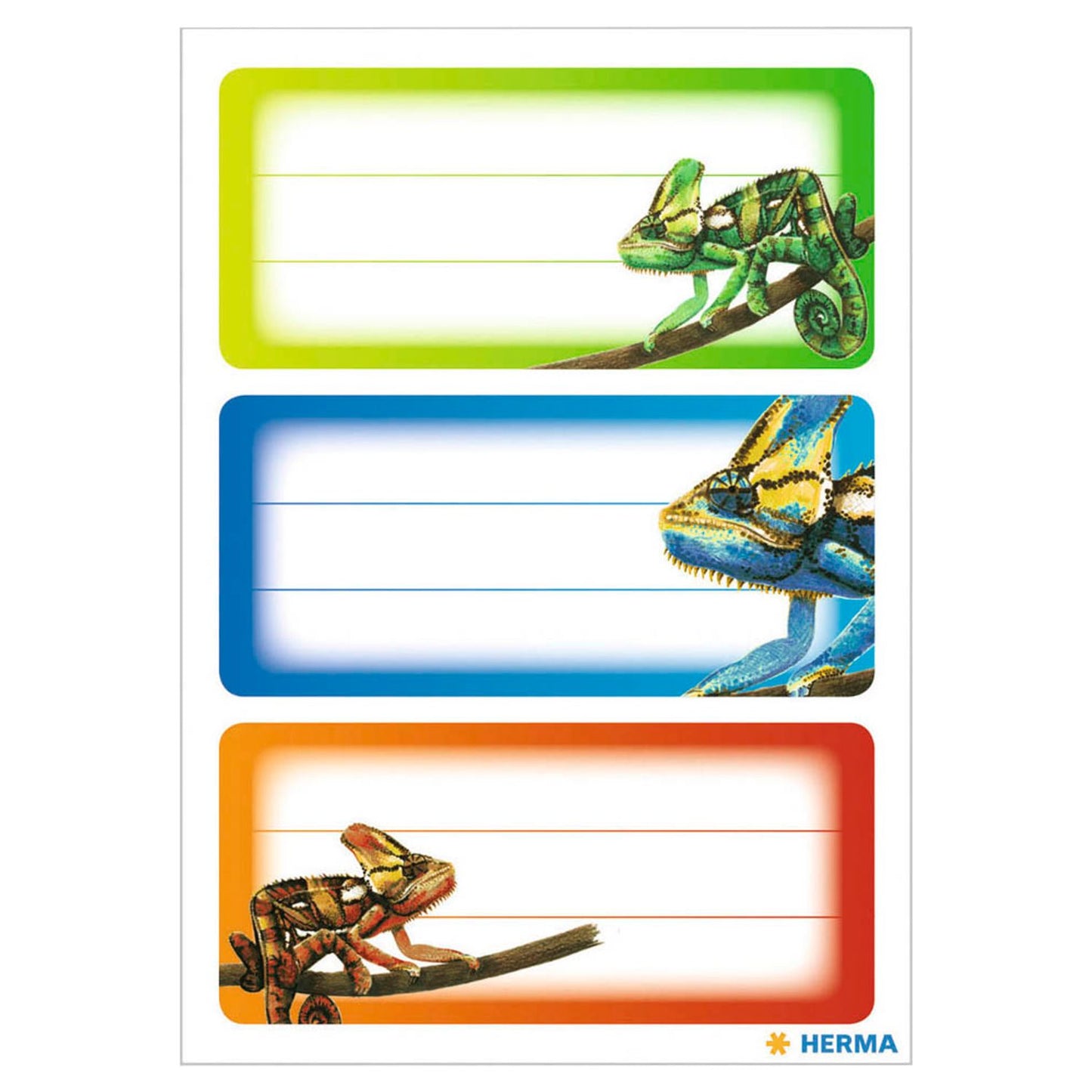 HERMA Schuletiketten Gecko, 9 Etiketten | 5876 | 1 Pack = 9 St.