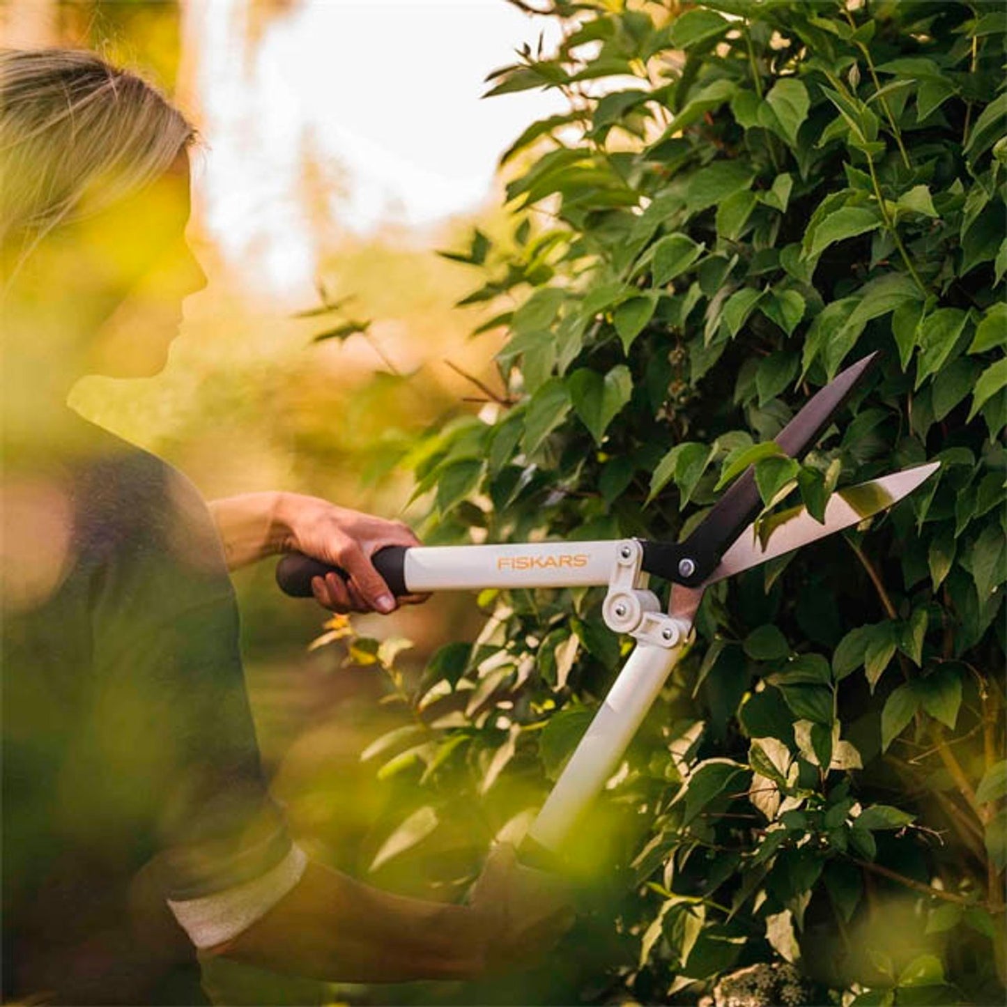 FISKARS® HS53 Light Heckenschere | 1026931