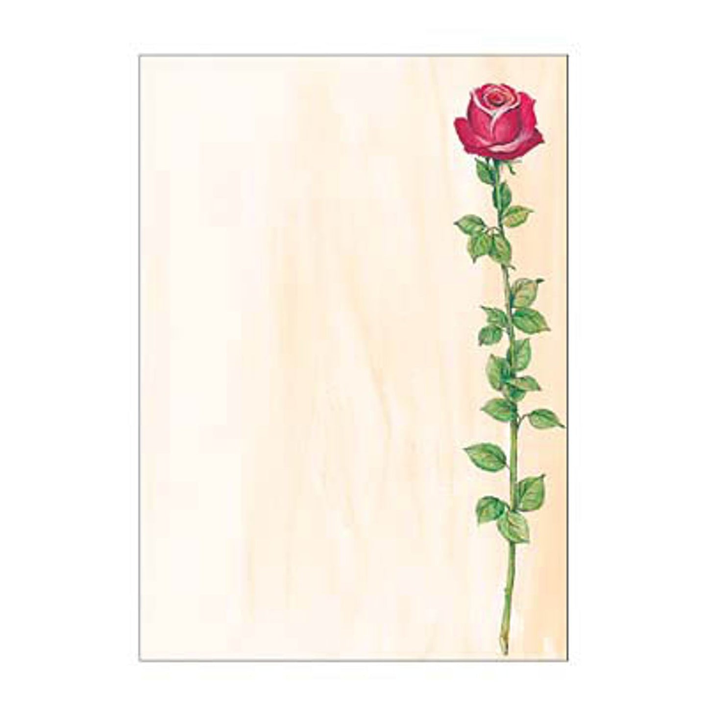 SIGEL Motivpapier Rose Bloom Motiv DIN A4 90 g/qm | DP695 | 1 Pack = 25 Blatt